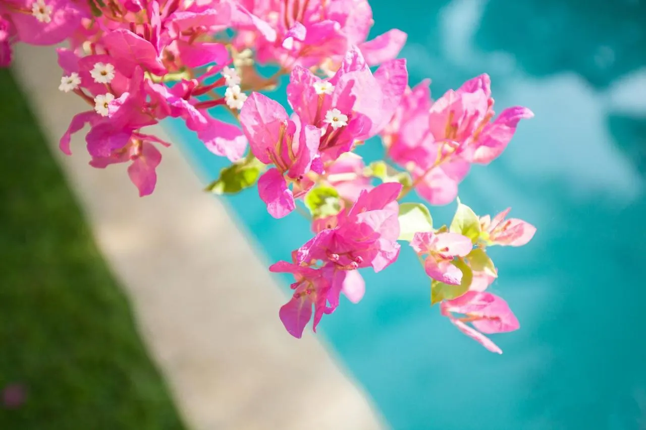 The Bingin Beach Villas' Private Villas Улувату Индонезия